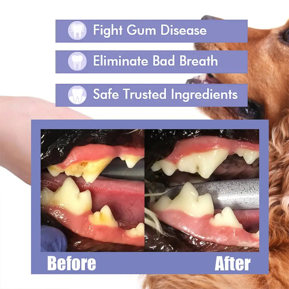Pet Oral Care Spray – 30ml Dog & Cat Fresh Breath Dental Hygiene Spray