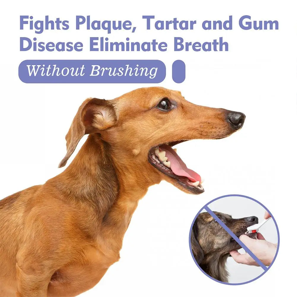 Pet Oral Care Spray – 30ml Dog & Cat Fresh Breath Dental Hygiene Spray