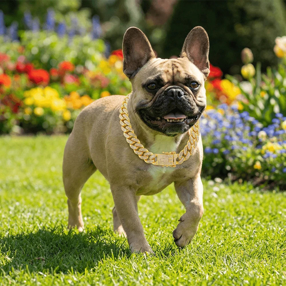Luxury Cuban Chain Dog Collar – Gold Tone Stainless Steel Diamond-Inspired Pet Necklace for Daily Walks