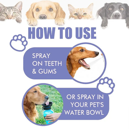 Pet Oral Care Spray – 30ml Dog & Cat Fresh Breath Dental Hygiene Spray