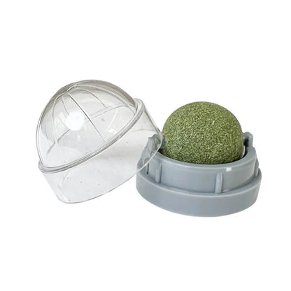 Catnip Wall Ball Toy – Interactive Cat Scratcher & Natural Catnip Play Treat