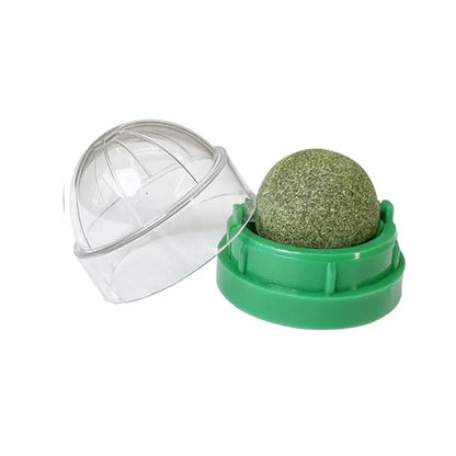 Catnip Wall Ball Toy – Interactive Cat Scratcher & Natural Catnip Play Treat