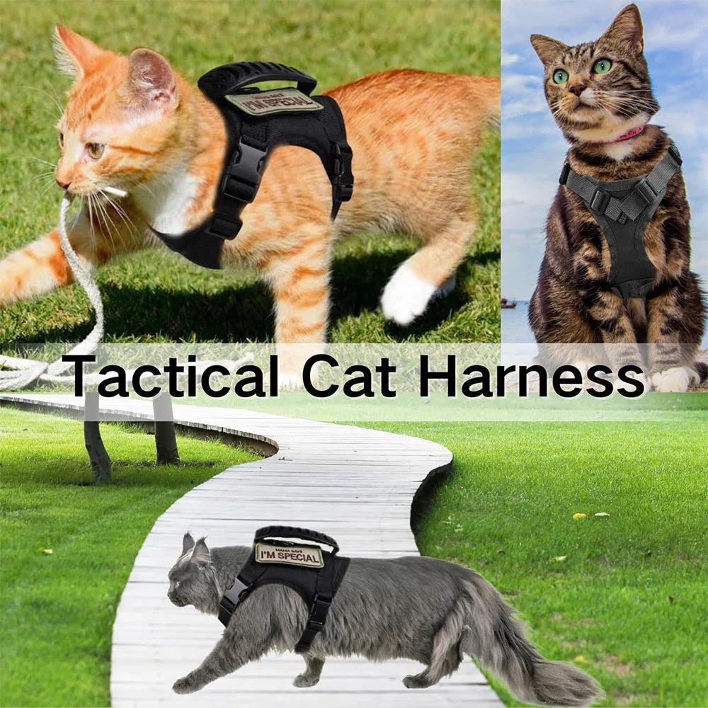 Tactical Pet Harness & Leash Set – Adjustable Soft Mesh Training Vest for Cats and Dogs