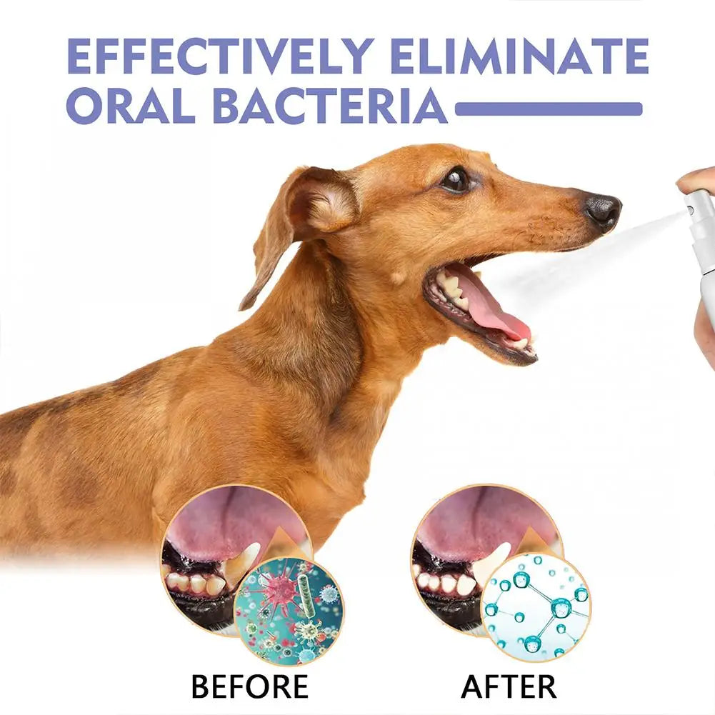 Pet Oral Care Spray – 30ml Dog & Cat Fresh Breath Dental Hygiene Spray