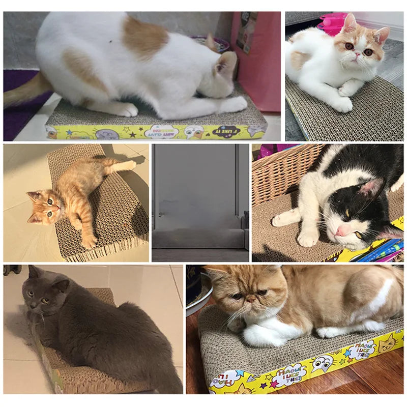 Cat Scratching Board – Corrugated Cardboard Cat Scratcher & Cozy Rest Lounge