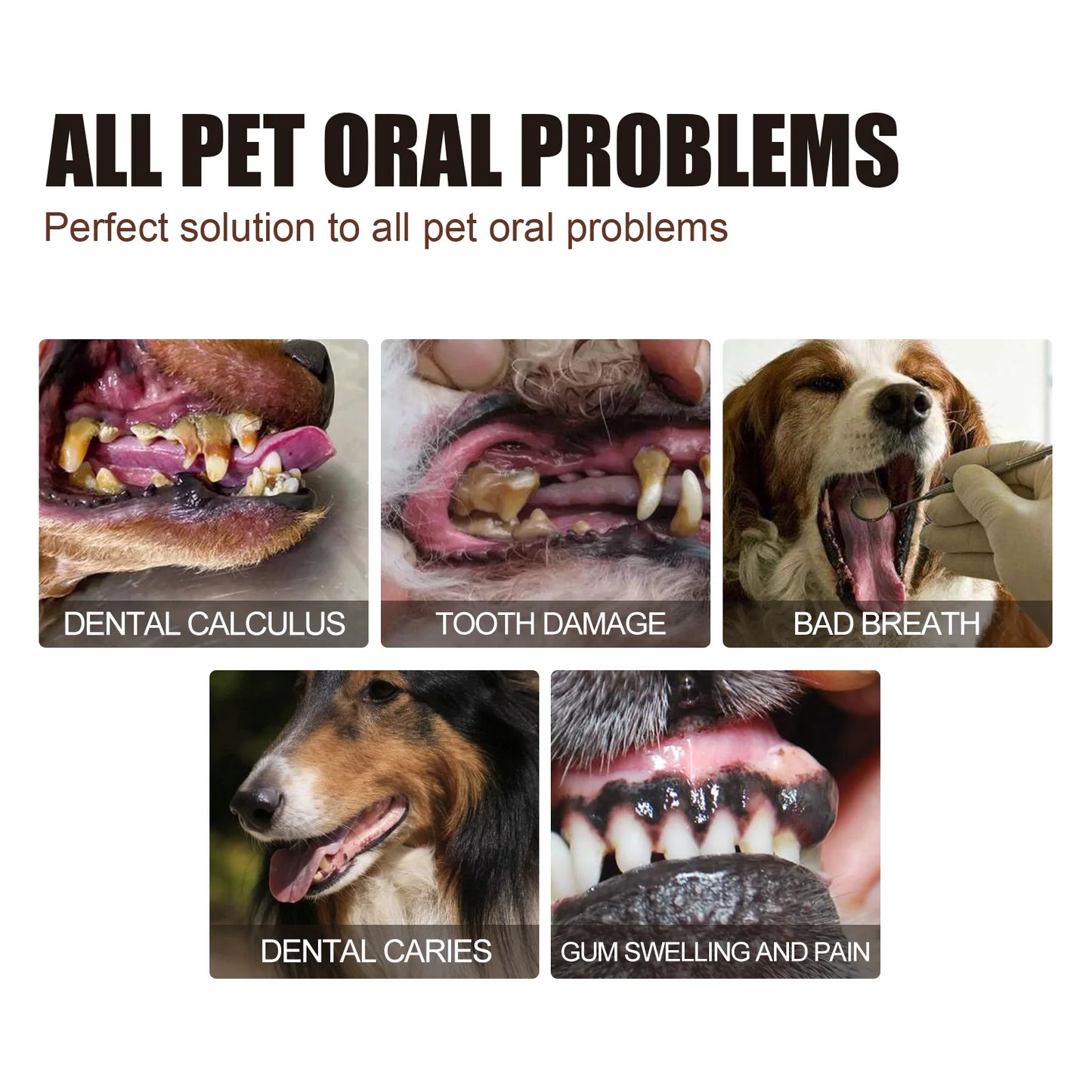 Pet Dental Care Spray – Fresh Breath & Oral Hygiene Spray for Dogs and Cats