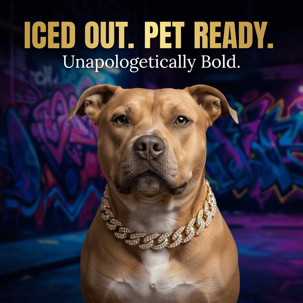Luxury Cuban Chain Dog Collar – Gold Tone Stainless Steel Diamond-Inspired Pet Necklace for Daily Walks