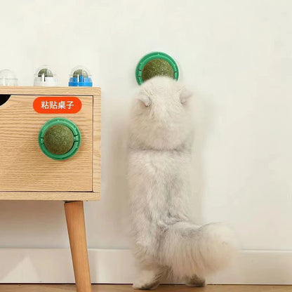 Catnip Wall Ball Toy – Interactive Cat Scratcher & Natural Catnip Play Treat