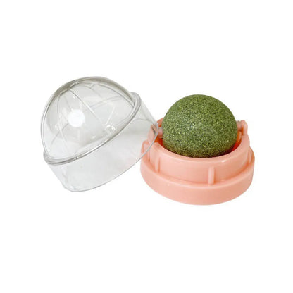 Catnip Wall Ball Toy – Interactive Cat Scratcher & Natural Catnip Play Treat