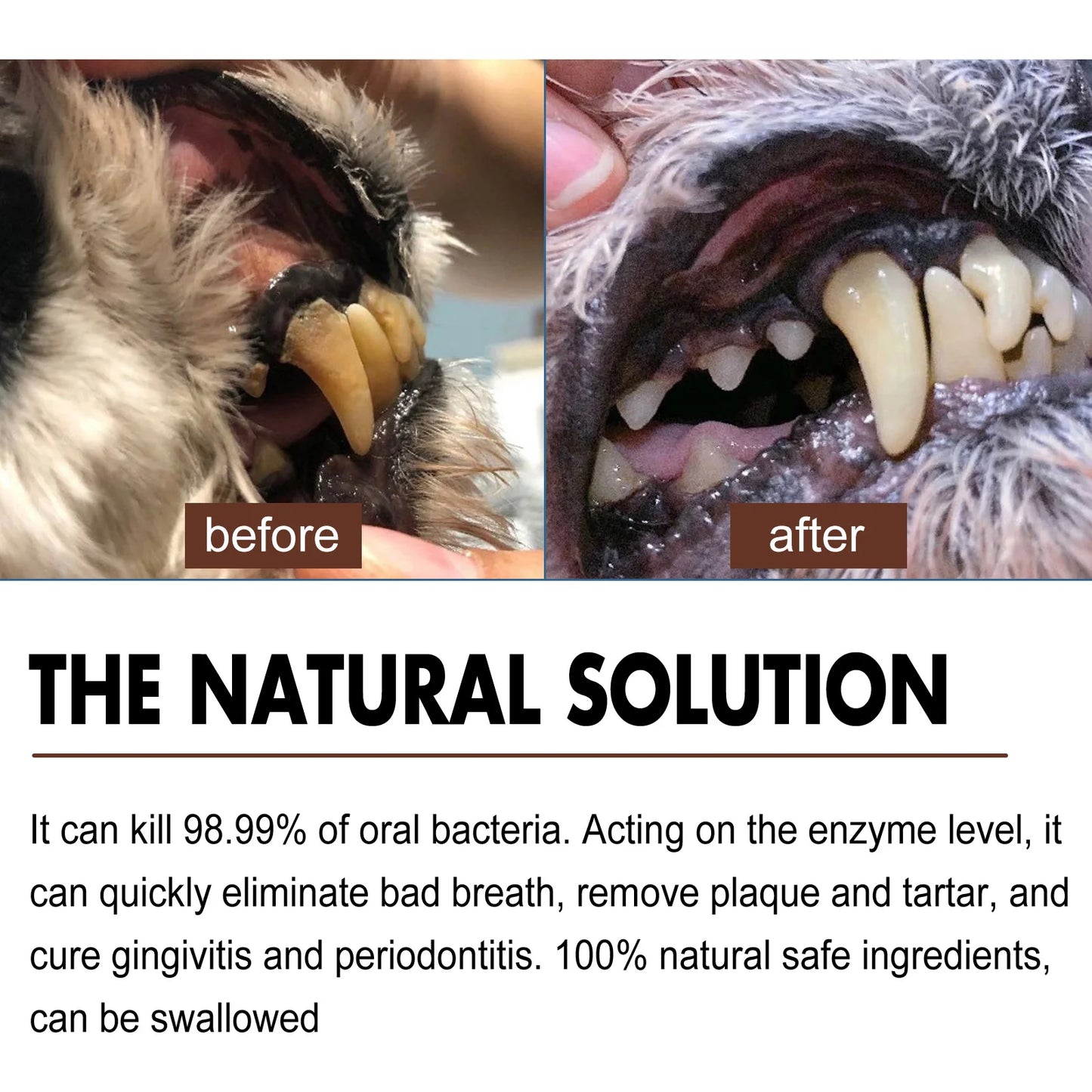 Pet Dental Care Spray – Fresh Breath & Oral Hygiene Spray for Dogs and Cats