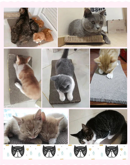 Cat Scratching Board – Corrugated Cardboard Cat Scratcher & Cozy Rest Lounge