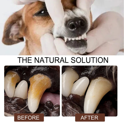 Pet Dental Care Spray – Fresh Breath & Oral Hygiene Spray for Dogs and Cats