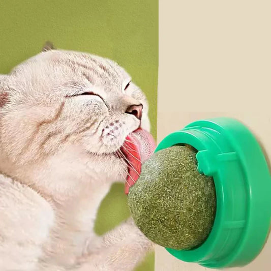 Catnip Wall Ball Toy – Interactive Cat Scratcher & Natural Catnip Play Treat