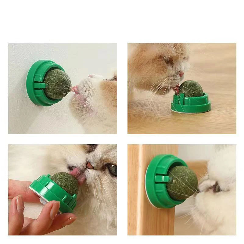 Catnip Wall Ball Toy – Interactive Cat Scratcher & Natural Catnip Play Treat