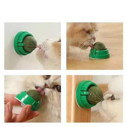 Catnip Wall Ball Toy – Interactive Cat Scratcher & Natural Catnip Play Treat