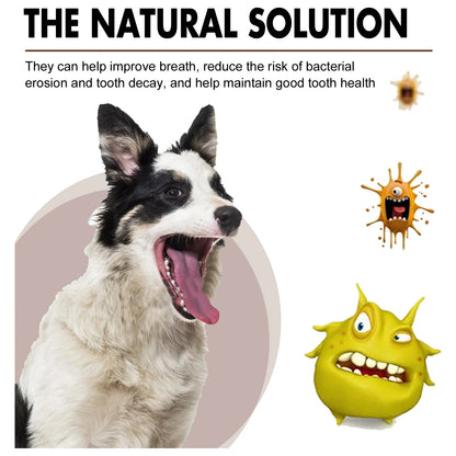 Pet Dental Care Spray – Fresh Breath & Oral Hygiene Spray for Dogs and Cats