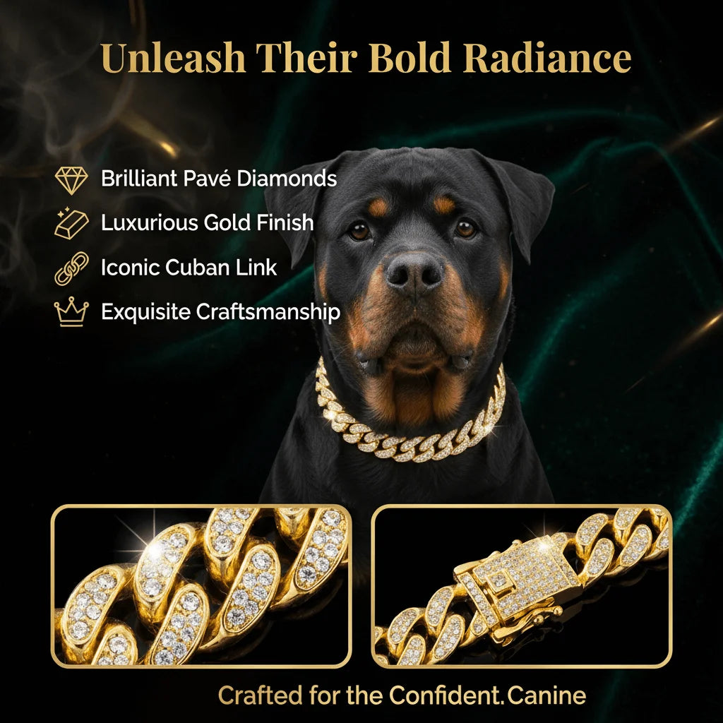 Luxury Cuban Chain Dog Collar – Gold Tone Stainless Steel Diamond-Inspired Pet Necklace for Daily Walks