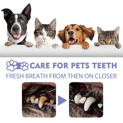 Pet Oral Care Spray – 30ml Dog & Cat Fresh Breath Dental Hygiene Spray