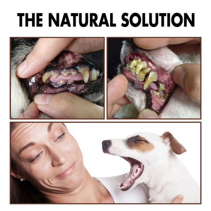 Pet Dental Care Spray – Fresh Breath & Oral Hygiene Spray for Dogs and Cats