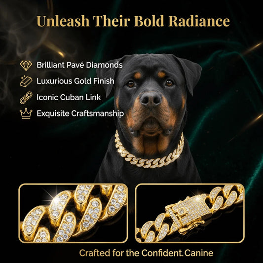 Luxury Cuban Chain Dog Collar – Gold Tone Stainless Steel Diamond-Inspired Pet Necklace for Daily Walks